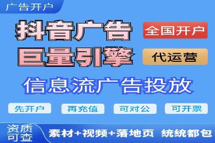 SEM广告投放策略：成功案例解析
